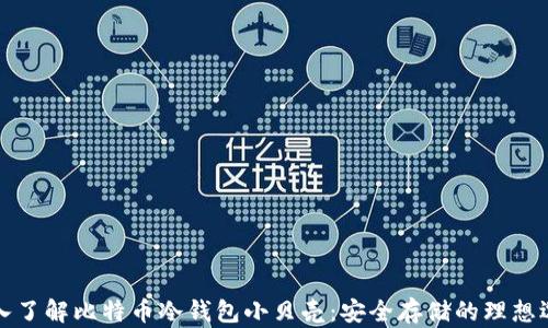 
深入了解比特币冷钱包小贝壳：安全存储的理想选择