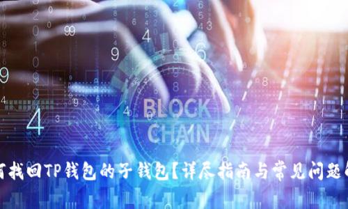 如何找回TP钱包的子钱包？详尽指南与常见问题解答
