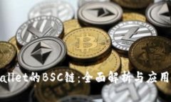 tpWallet的BSC链：全面解析与