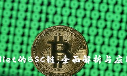 tpWallet的BSC链：全面解析与应用实践