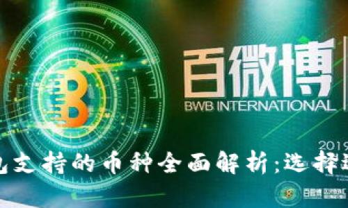 数字货币钱包支持的币种全面解析：选择适合你的钱包