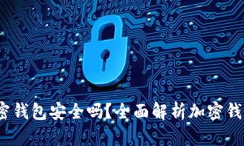  一般的加密钱包安全吗？全面解析加密钱包的安全性