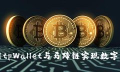 如何使用tpWallet与马蹄链实