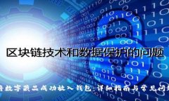 如何将数字藏品成功放入钱包：详细指南与常见