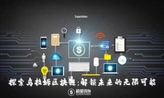 探索乌拉姆区块链：解锁