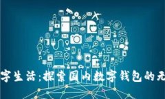 畅享数字生活：探索国内数字钱包的无限可能