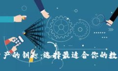 掌控数字资产的钥匙：选择最适合你的数字资产