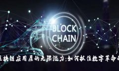 探索区块链应用层的无限潜力：如何抓住数字革