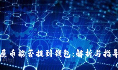 屎币能否提到钱包：解析与指导