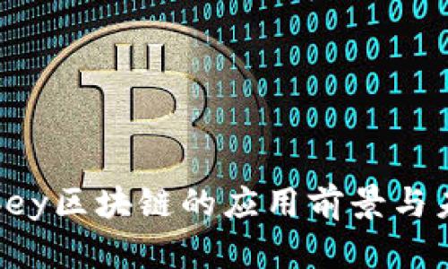 探索Abbey区块链的应用前景与未来发展