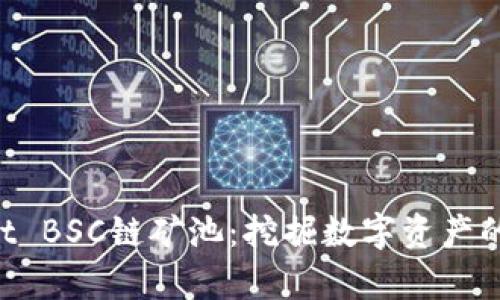 TP Wallet BSC链矿池：挖掘数字资产的前沿平台