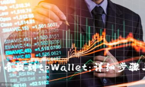 如何将Dog币提到tpWallet：详细步骤与注意事项