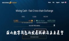 国内数字钱包的发展现状