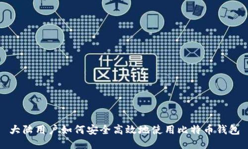 大陆用户如何安全高效地使用比特币钱包