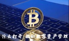   区块链钱包用什么打开：