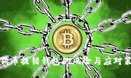 狗狗币提错钱包的风险与应对策略