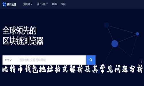 比特币钱包地址格式解析及其常见问题分析
