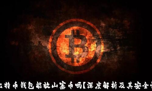 
比特币钱包能放山寨币吗？深度解析及其安全性