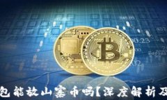 比特币钱包能放山寨币吗