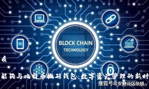 优质

智能狗与比特币搬砖钱包：数字资产管理的新时代