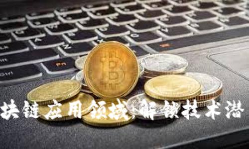 如何开发区块链应用领域：解锁技术潜力，创新未来