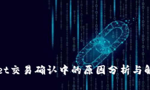 tpWallet交易确认中的原因分析与解决方案