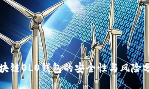 区块链OLO钱包的安全性与风险分析