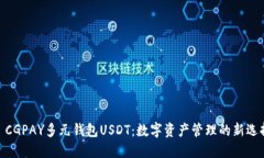 : CGPAY多元钱包USDT：数字资