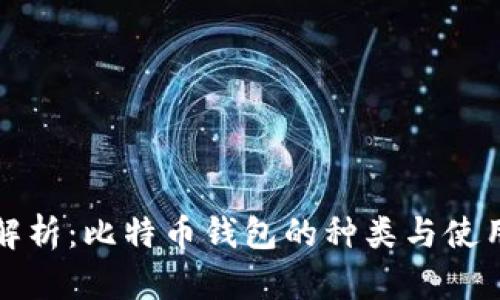 全面解析：比特币钱包的种类与使用指南